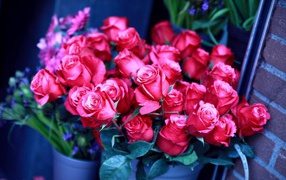 Beautiful bouquets of roses to girls on March 8