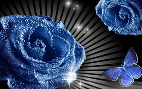 Синие роза и бабочка, картинка на восьмое марта
