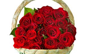 Bouquet of red roses on March 8 in a basket