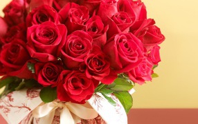Bouquet of red roses on March 8 on pastel background