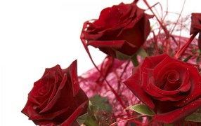 Украшенные красные розы в подарок на восьмое марта