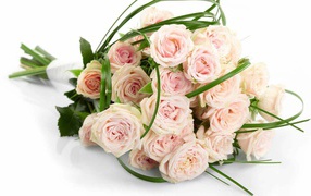 Delicate pink bouquet of flowers to the girl on March 8