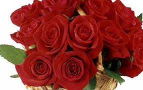 Magical bouquet of red roses on March 8