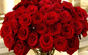 Nice bouquet of red roses on March 8