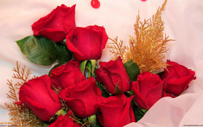 Red roses for women on March 8
