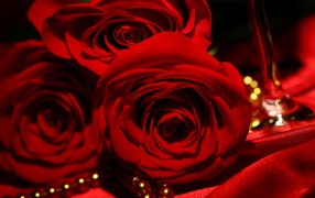 Red roses on March 8 against the backdrop of satin and pearls