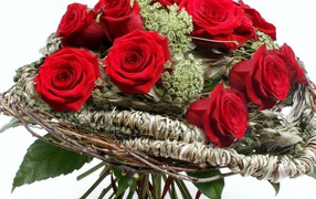 Red roses on March 8 in a beautiful paper