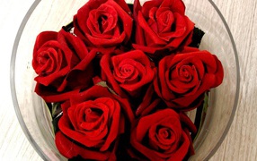 Red roses on March 8 in a glass vase