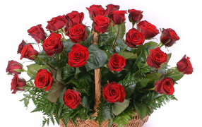 Red roses on March 8 in a small basket