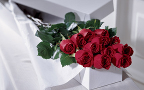 Red roses on March 8 in a white box