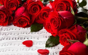 Red roses on March 8 on the background sheet music