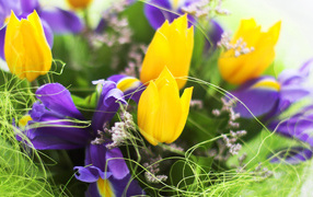 Весенние цветы на 8 марта
