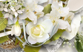 Белая роза и другие цветы, картинка на восьмое марта
