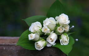 Белые розы в букете в подарок на восьмое марта женщинам
