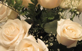Белые розы в букете женщинам на восьмое марта