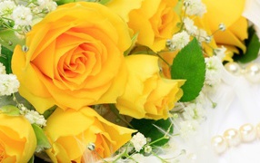 Yellow roses as a gift to women