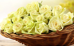 Yellow roses in a basket for women