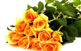 Yellow roses in a bouquet for the beloved lady