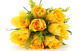 Жёлтые розы в букете на белом фоне