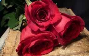  Red roses on March 8 for the best girl