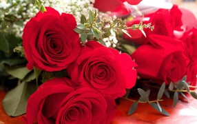Махровые красные розы на 8 марта
