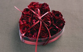 A gift of roses on Valentine's Day