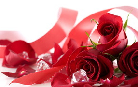 Bouquet of roses on Valentine's Day February 14
