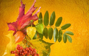 Autumn bouquet Knowledge Day on September 1