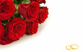 Красные розы и золотые свадебные кольца