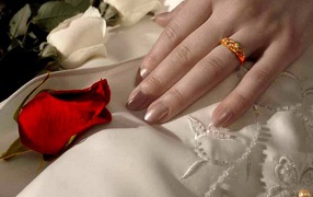 The hand of the bride