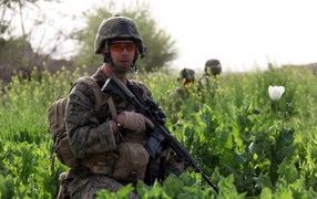 	   A soldier with a rifle in the grass