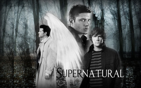 Cas, Dean and Sam from the TV series Supernatural