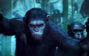 Новый фильм Планета обезьян Революция