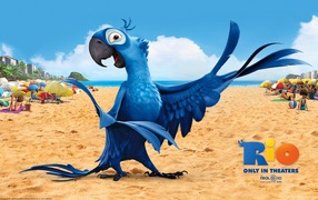 Рио 2 голубой попугай
