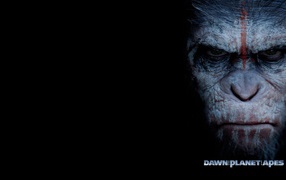 Кадр из фильма Планета обезьян Революция