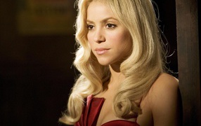 	   The blonde singer Shakira