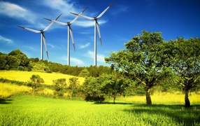 Windmills on the nature