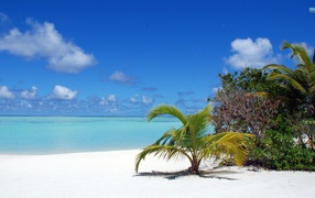 The beach in the Maldives