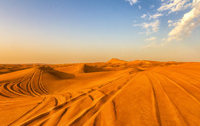 During a desert safari tour in Dubai