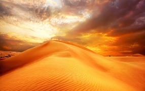 Золотой песок пустыни