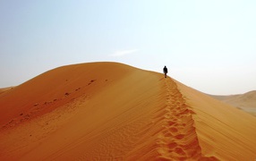 	   Man is walking in the desert
