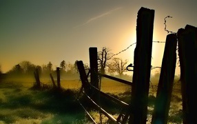 The old fence of barbed wire