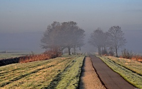 	  The road leading into the fog