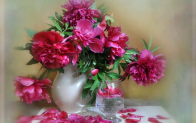 Beautiful flowers of peonies in a vase
