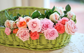 Flowers roses in a basket
