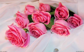 	   Bouquet of roses on a white blanket