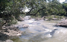 Rocky river with trees on the shore