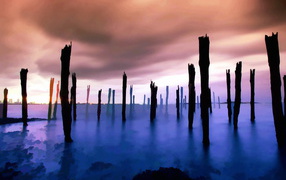 Wooden piles over the sea