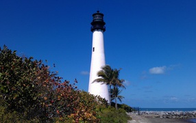 	   The lighthouse on the shore of Miami