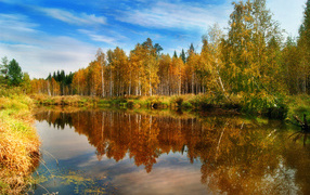 Yellow Autumn forest lake